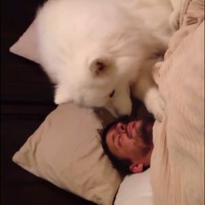 Meet your Posher, Akosua